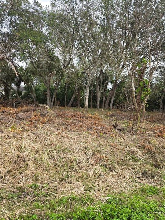 For Sale: $45,000 (0.22 acres)