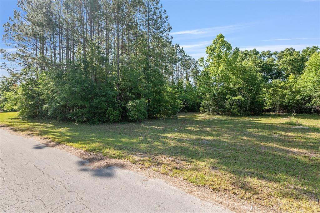 最近售出: $40,000 (1.03 acres)