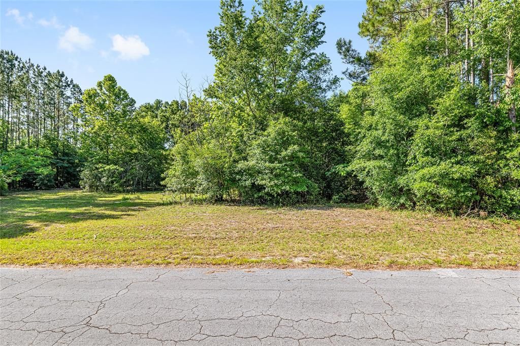 Recently Sold: $40,000 (1.03 acres)