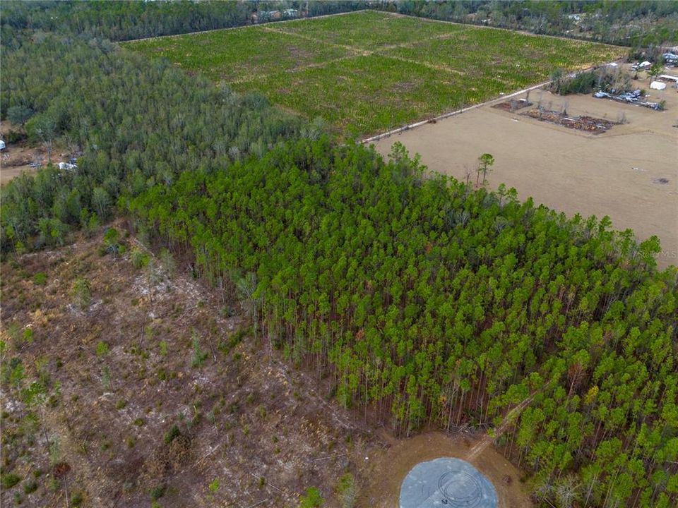 For Sale: $63,500 (4.97 acres)