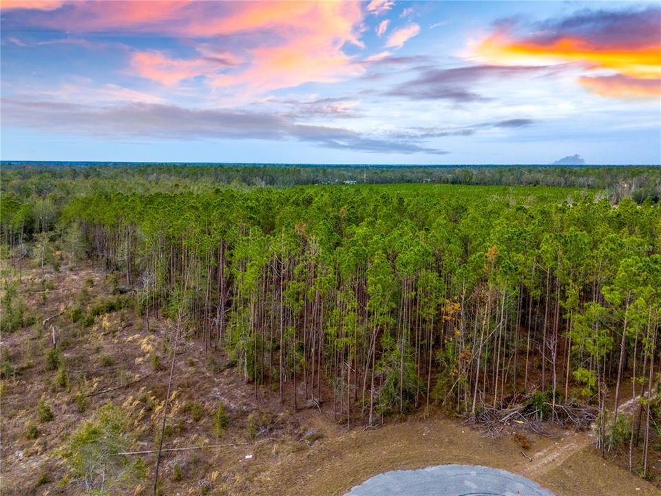 For Sale: $63,500 (4.97 acres)