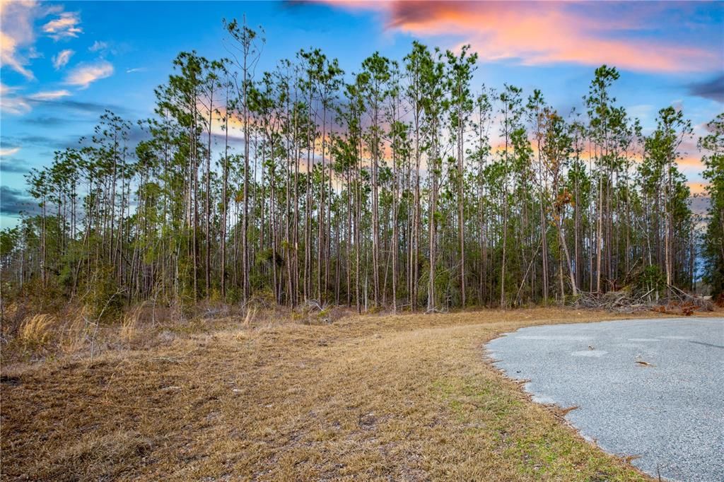 For Sale: $63,500 (4.97 acres)