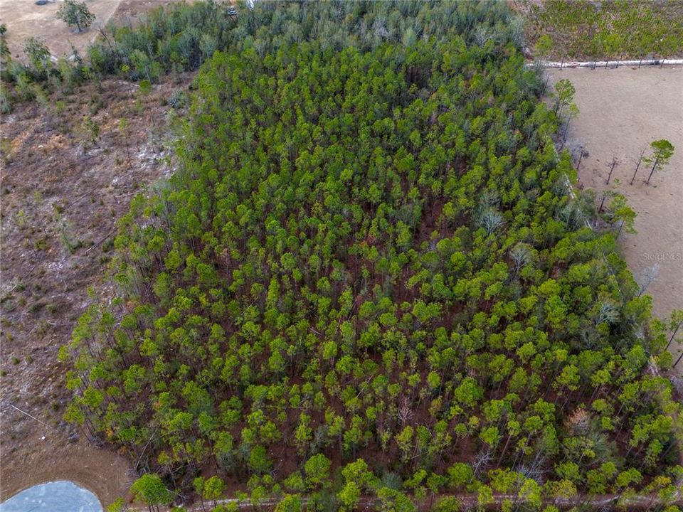 For Sale: $63,500 (4.97 acres)