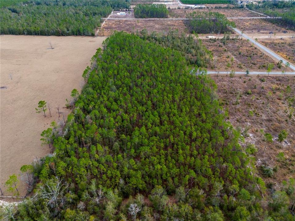 For Sale: $63,500 (4.97 acres)