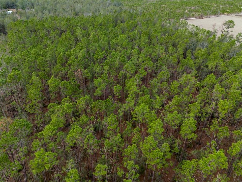 For Sale: $63,500 (4.97 acres)