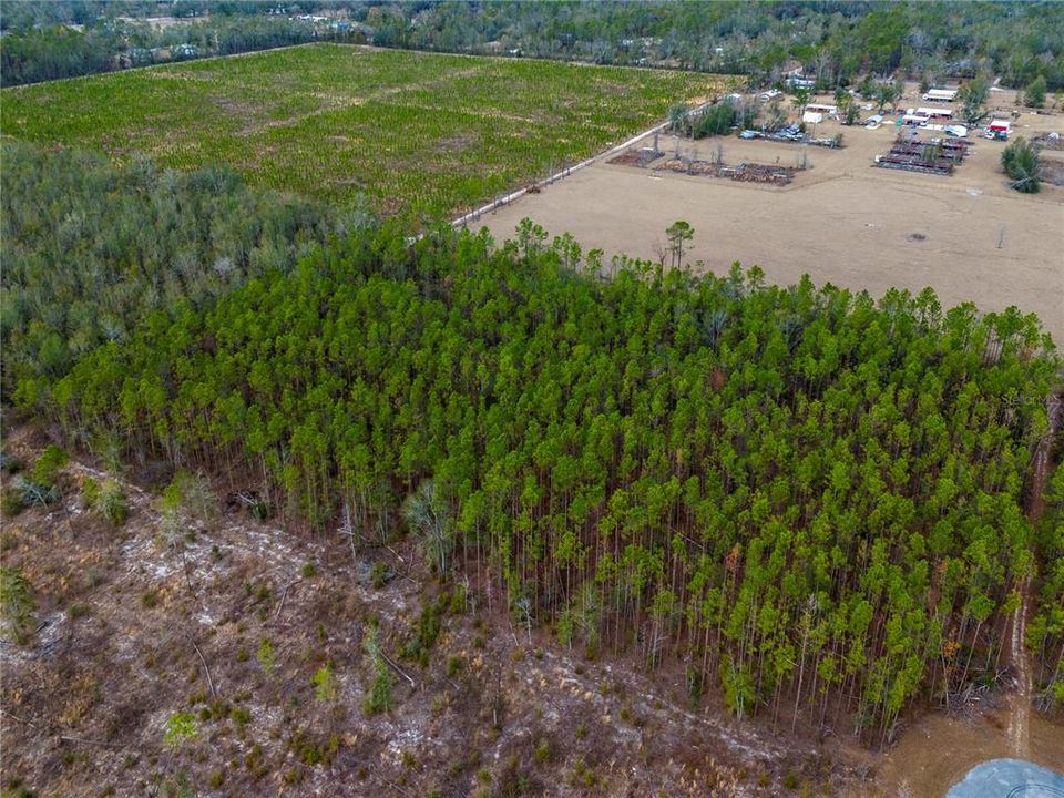 For Sale: $63,500 (4.97 acres)