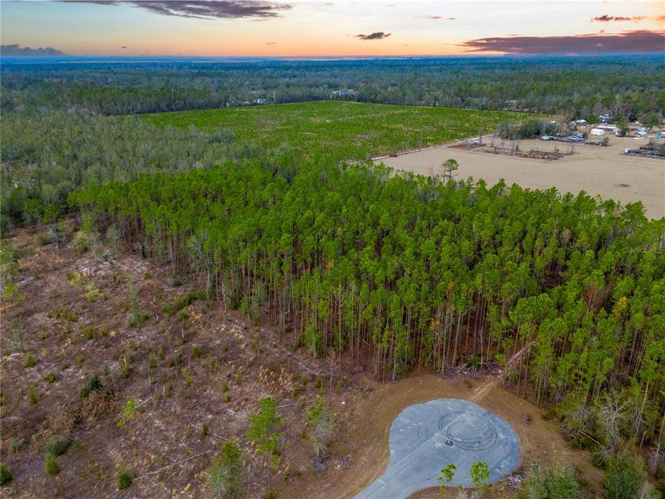 For Sale: $63,500 (4.97 acres)