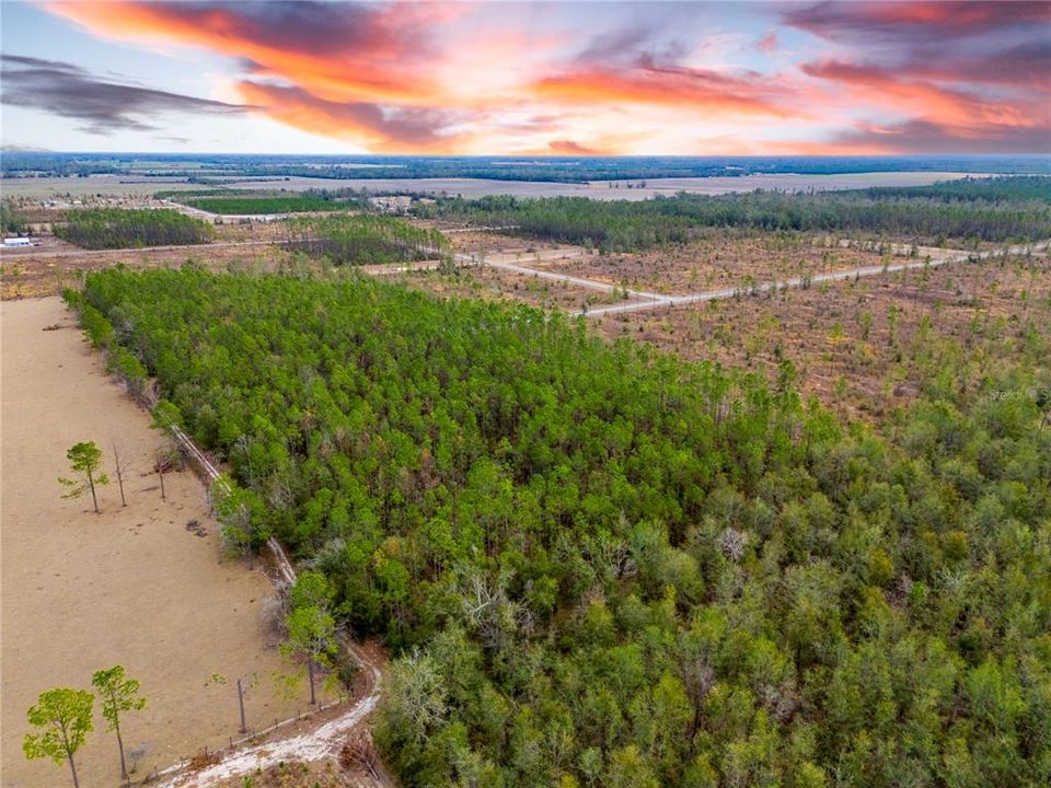 For Sale: $63,500 (4.97 acres)