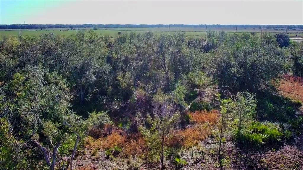 For Sale: $12,000 (0.22 acres)