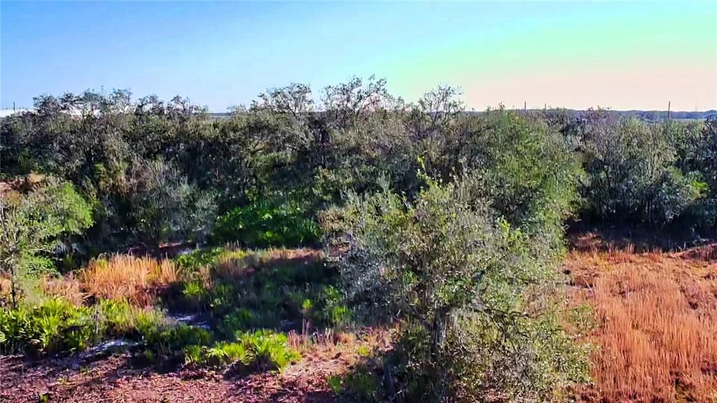 For Sale: $12,000 (0.22 acres)