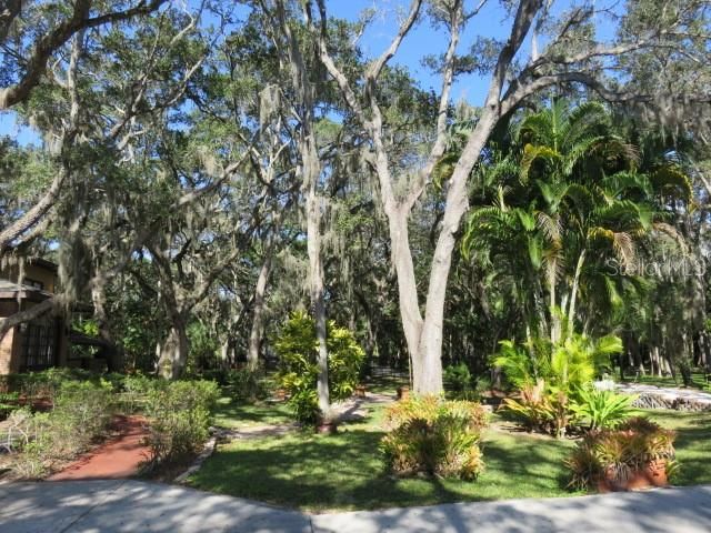 出租: $5,500 (4 贝兹, 2 浴室, 2663 平方英尺)