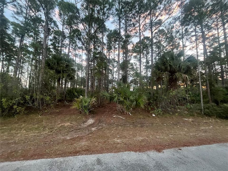 Recently Sold: $79,800 (0.46 acres)