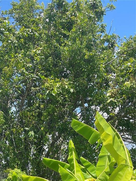 На продажу: $385,000 (3.67 acres)