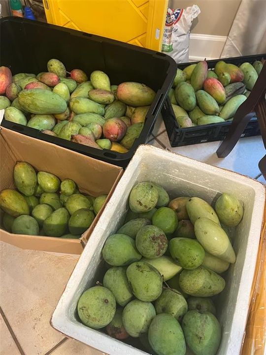 На продажу: $385,000 (3.67 acres)