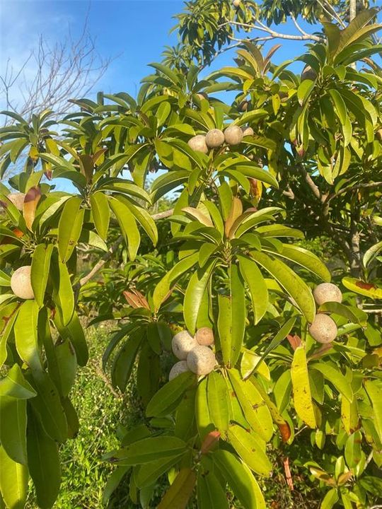 На продажу: $385,000 (3.67 acres)