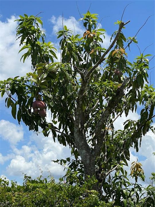 На продажу: $385,000 (3.67 acres)