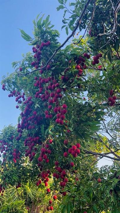 На продажу: $385,000 (3.67 acres)