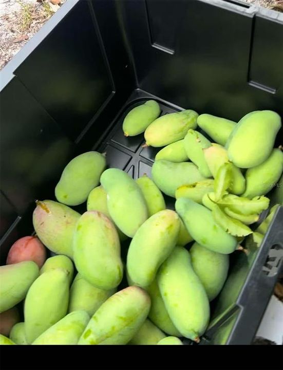 На продажу: $385,000 (3.67 acres)