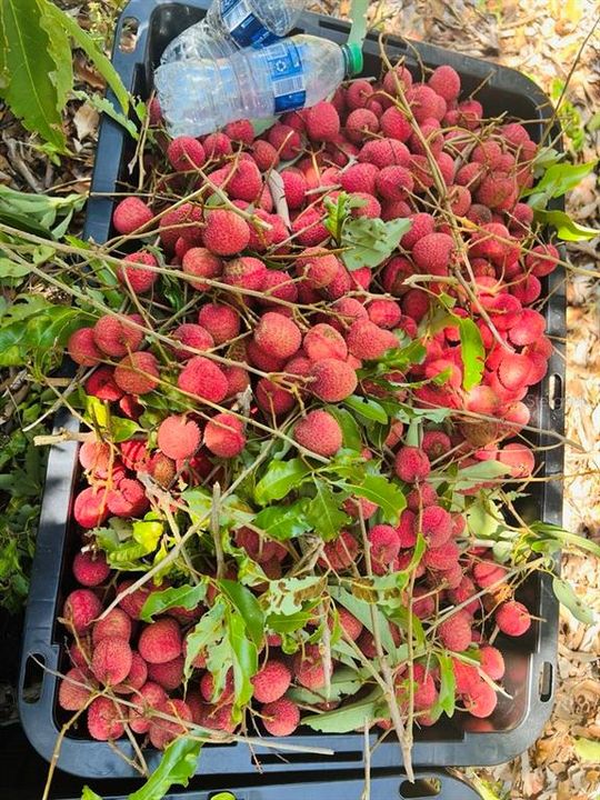 На продажу: $385,000 (3.67 acres)