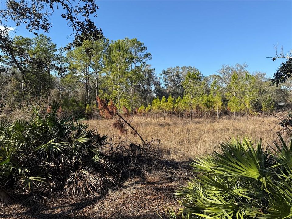 Recently Sold: $15,000 (1.20 acres)