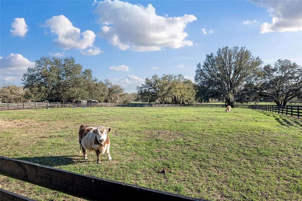 For Sale: $875,000 (1 beds, 1 baths, 400 Square Feet)