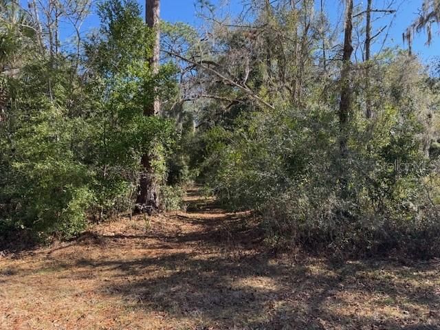 For Sale: $25,000 (0.35 acres)