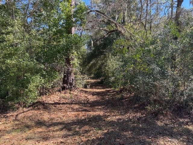 For Sale: $25,000 (0.35 acres)