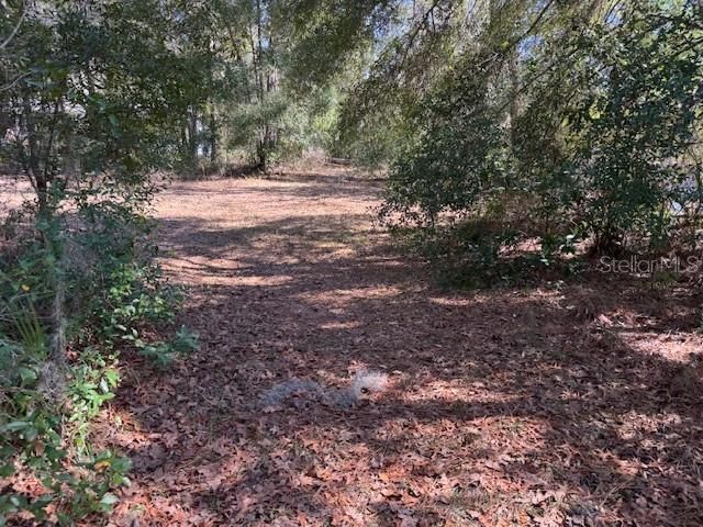 For Sale: $25,000 (0.35 acres)