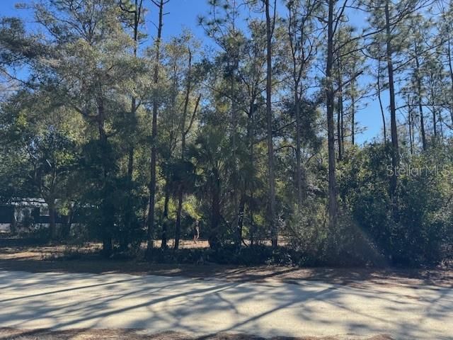 For Sale: $25,000 (0.35 acres)