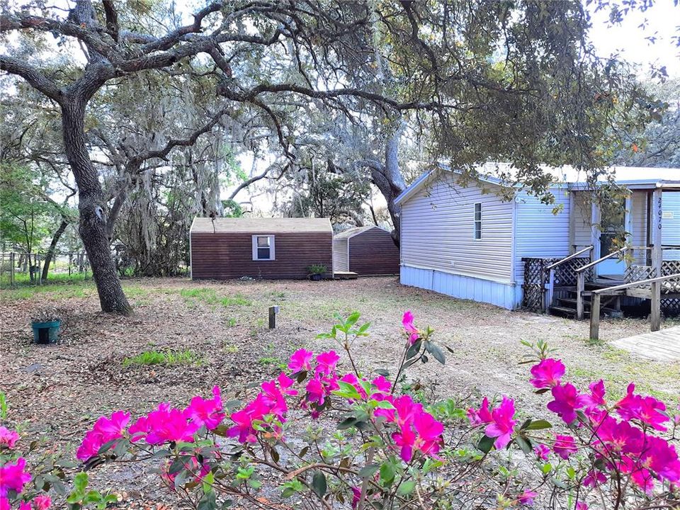 En Venta: $189,999 (3 camas, 2 baños, 1152 Pies cuadrados)