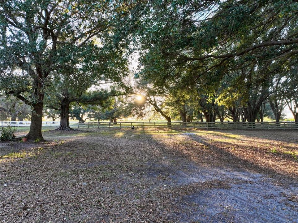 待售: $1,319,000 (3 贝兹, 3 浴室, 3068 平方英尺)