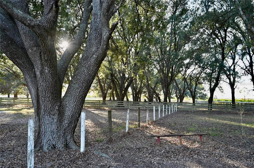 待售: $1,319,000 (3 贝兹, 3 浴室, 3068 平方英尺)