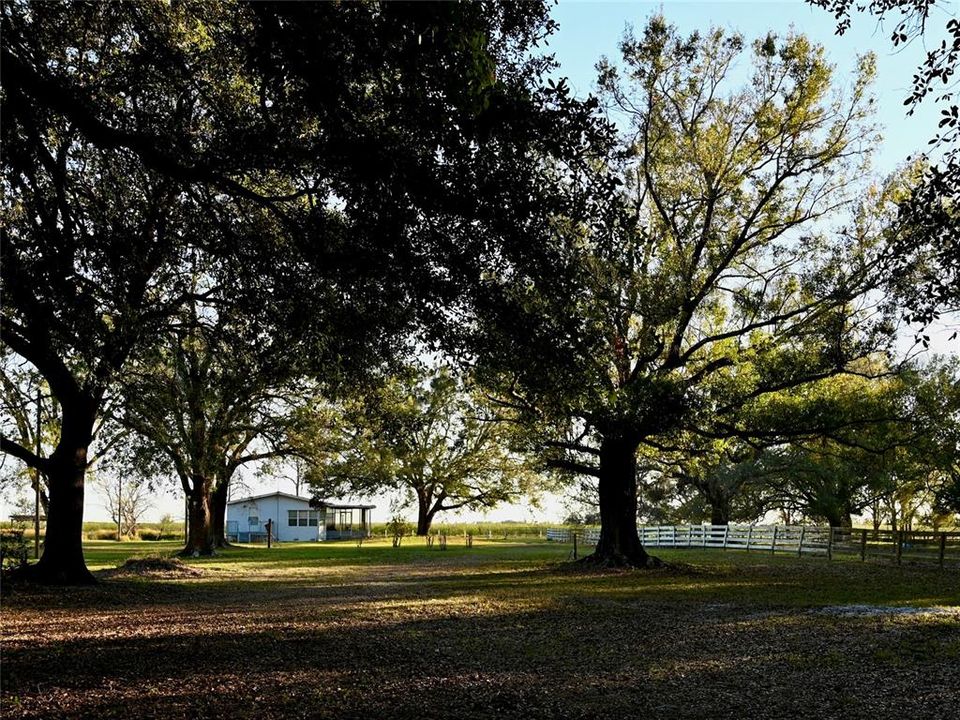 待售: $1,319,000 (3 贝兹, 3 浴室, 3068 平方英尺)