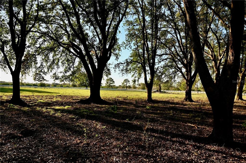 待售: $1,319,000 (3 贝兹, 3 浴室, 3068 平方英尺)