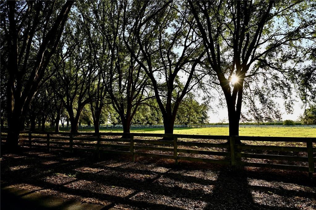 待售: $1,319,000 (3 贝兹, 3 浴室, 3068 平方英尺)