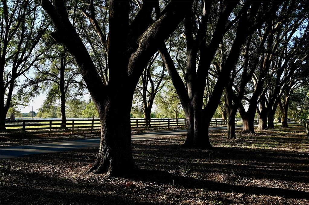 待售: $1,319,000 (3 贝兹, 3 浴室, 3068 平方英尺)