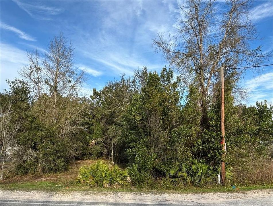 最近售出: $20,000 (0.35 acres)