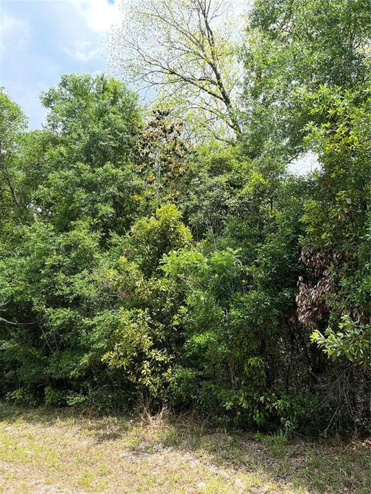 На продажу: $35,000 (1.00 acres)