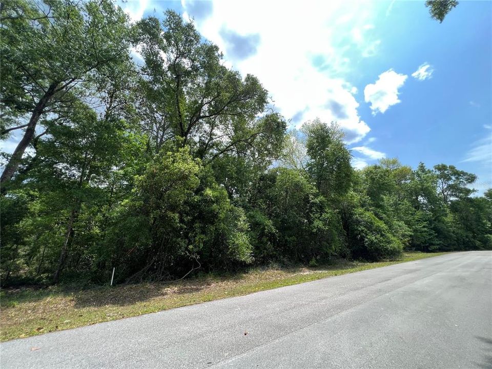 На продажу: $35,000 (1.00 acres)