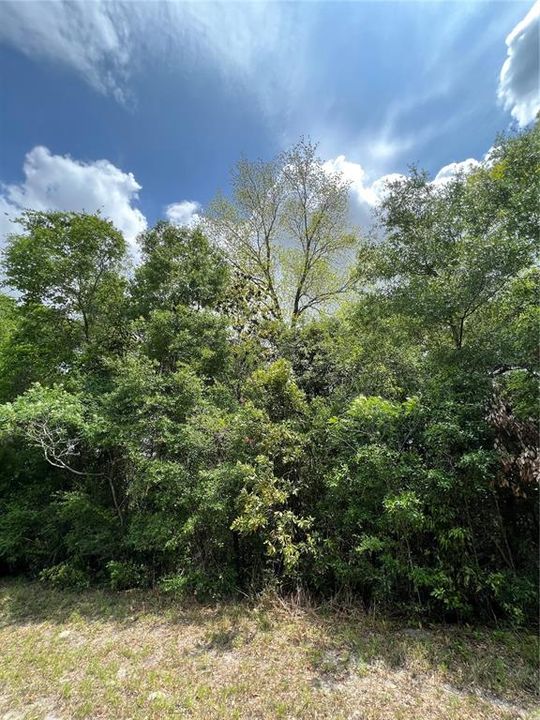 На продажу: $35,000 (1.00 acres)