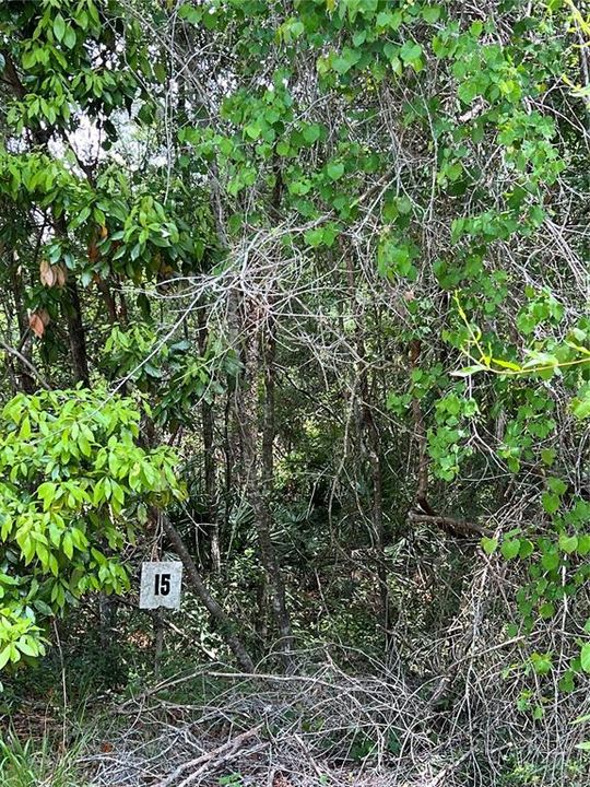 На продажу: $35,000 (1.00 acres)