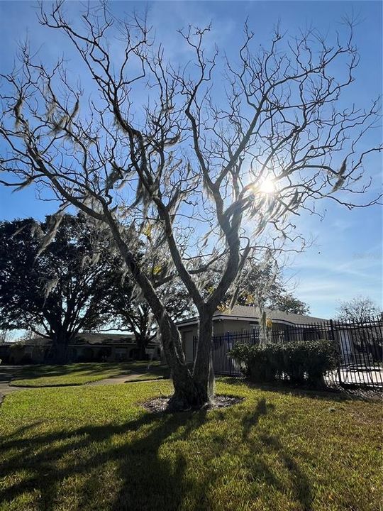 For Sale: $139,999 (1 beds, 1 baths, 722 Square Feet)