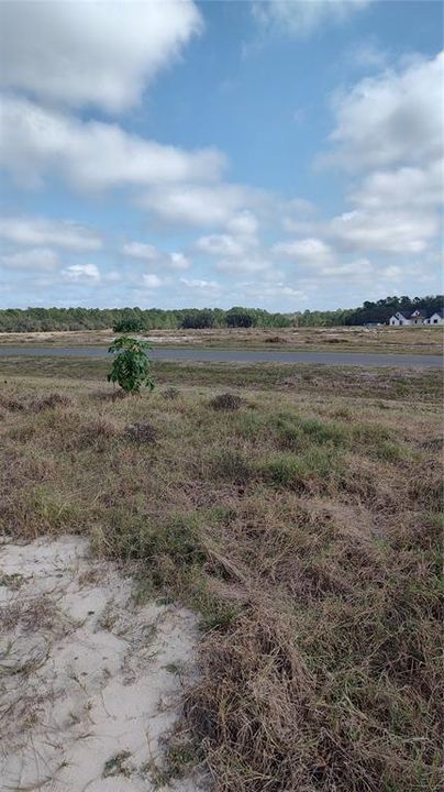 For Sale: $185,000 (1.00 acres)