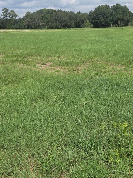 For Sale: $185,000 (1.00 acres)