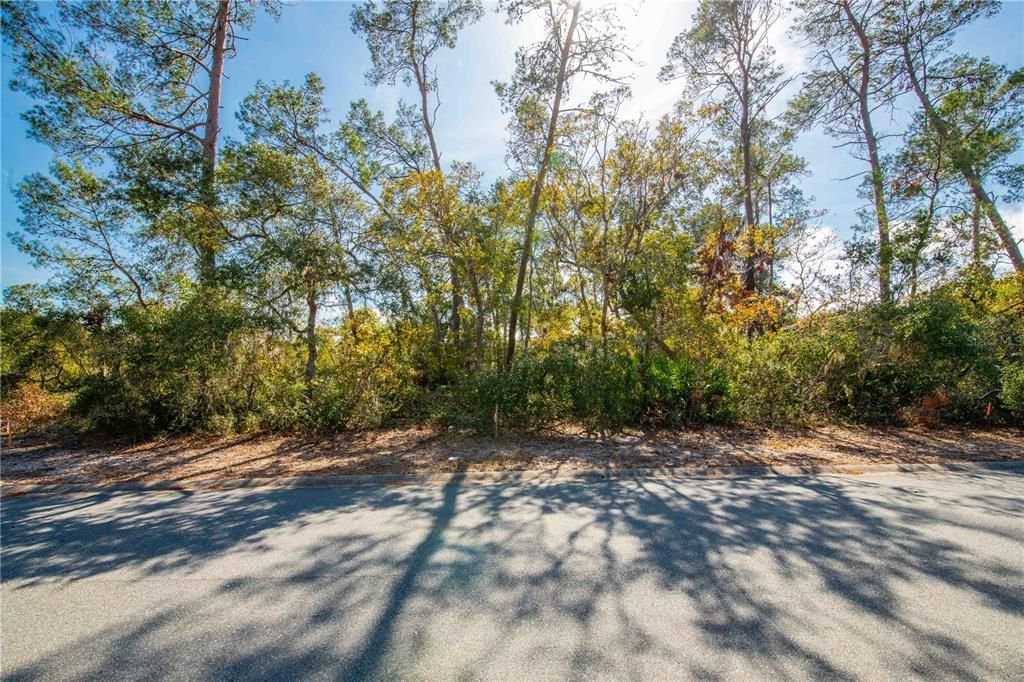 For Sale: $78,000 (0.66 acres)