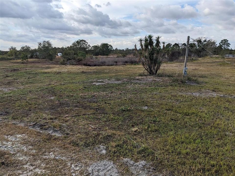 На продажу: $124,900 (4.52 acres)