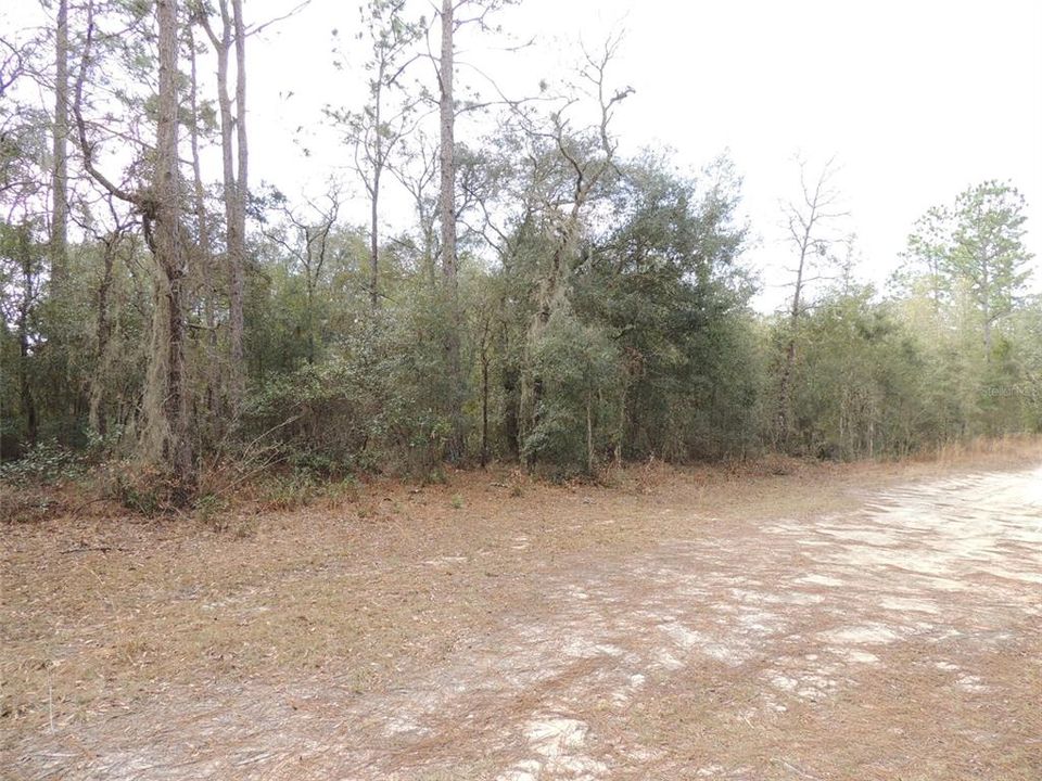 Vendido Recientemente: $49,500 (2.50 acres)