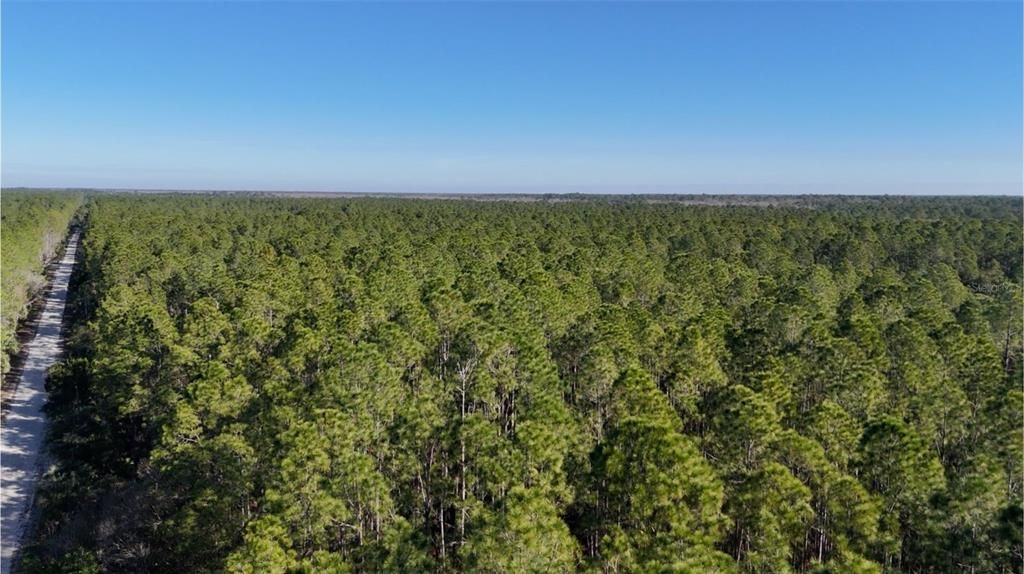 На продажу: $1,000,000 (99.94 acres)