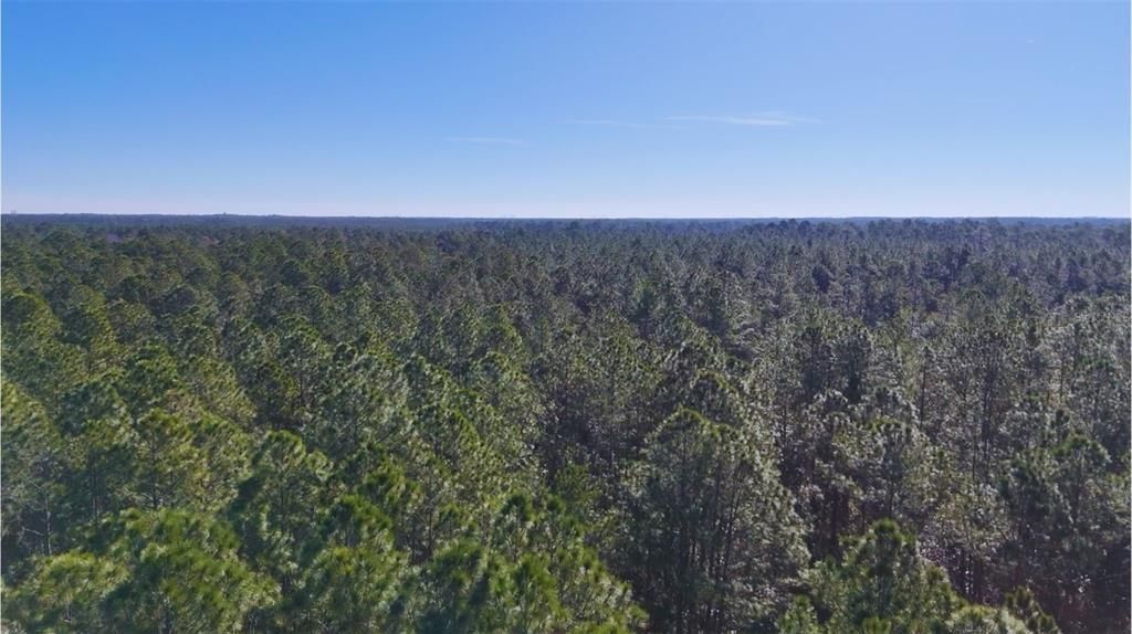 На продажу: $1,000,000 (99.94 acres)