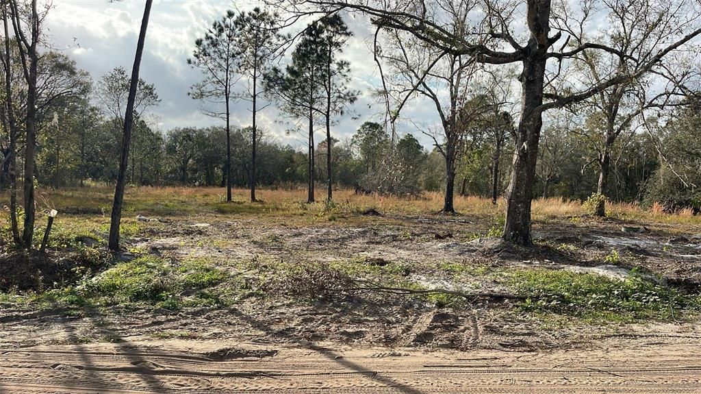 待售: $100,000 (3.54 acres)